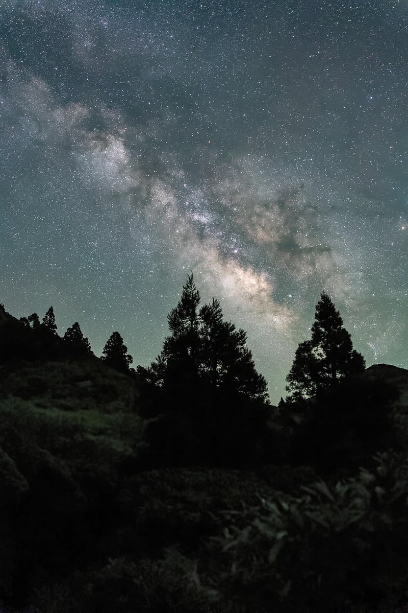 Constellation Backdrop Image